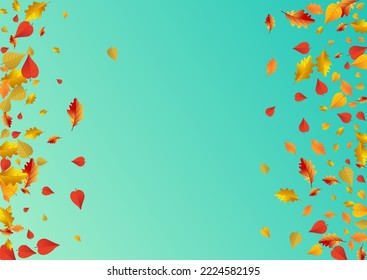 Autumnal Floral Vector Blue Background. Abstract Plant Card. Brown Decor Foliage Frame. Forest Texture.