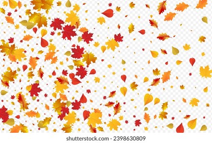 Autumnal Floral Vector Transparent Background. Design Leaf Design. Colorful Nature Plant Frame. Paper Template.