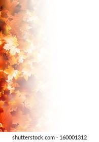Autumnal foliage against white backgrounds. And also includes EPS 10 vector