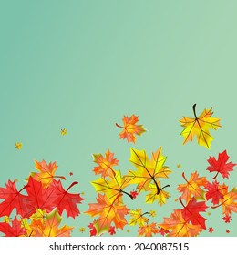 Autumnal Foliage Background Green Vector. Leaves Tree Design. Golden Paper Leaf. Flying Plant Texture.