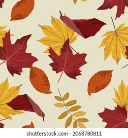 Patrón otoñal sin fisuras con hojas de arce, roble y otras hojas de la temporada de otoño. Fondo que se puede abrir, repetible y vectorizado. Dibujado a mano, de estilo plano. Blanco, dorado, amarillo, rojo y naranja