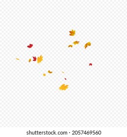 Autumnal Foliage Vector Transparent Background. Seasonal Floral Frame. Yellow Design Leaf Template. Pattern Design.