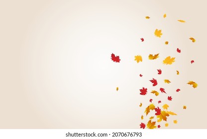 Autumnal Foliage Vector Transparent Background. Beautiful Leaf Texture. Colorful Design Leaves Card. Canadian Frame.