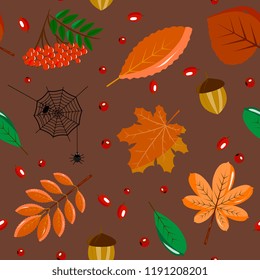 Autumnal, forest seamless pattern. Leaves, berries, acorns, cobwebs