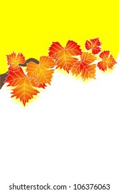 Autumnal leaf background