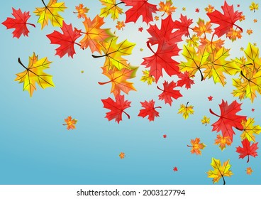 Autumnal Leaf Background Blue Vector. Foliage Bright Illustration. Green Collection Plant. Nature Floral Texture.