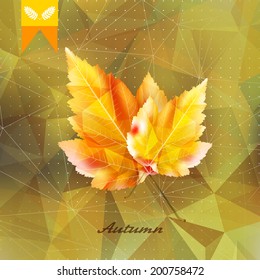 Autumnal leaf background made of triangles Retro background. EPS10