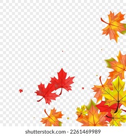 Autumnal Leaf Background Transparent Vector. Foliage Canadian Illustration. Brown October Leaves. Paper Floral Template.