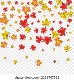Autumnal Leaf Background Transparent Vector. Leaves Decor Template. Yellow Realistic Floral. Down Foliage Frame.