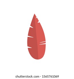 autumnal leaf foliage nature icon on white background vector illustration