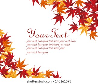Autumnal leaf maple background Vector