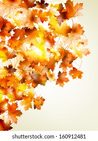 Autumnal leaf of maple and sunlight background. And also includes EPS 10 vector