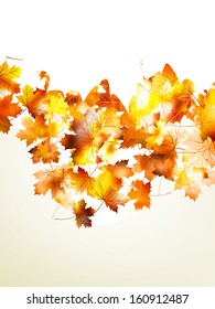 Autumnal leaf of maple and sunlight background. And also includes EPS 10 vector