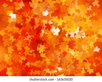 Autumnal leaf of maple and sunlight background. And also includes EPS 10 vector