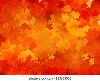 Autumnal leaf of maple and sunlight background. And also includes EPS 10 vector