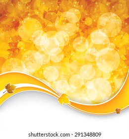 Autumnal leaf of maple and sunlight background