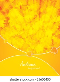 Autumnal leaf of maple and sunlight background
