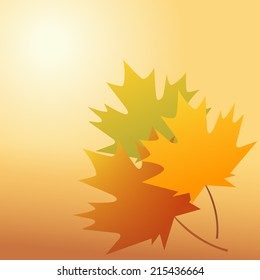 Autumnal leaf of maple and sunlight  vector illustrator