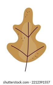 autumnal leaf nature icon isolated