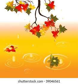 Autumnal leaf in the rain