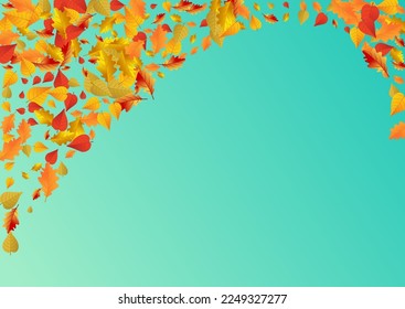 Autumnal Leaf Vector Blue Background. Decoration Leaves Card. Green Canadian Floral Frame. Isolated Texture.