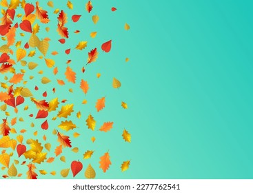 Autumnal Leaf Vector Blue Background. Collection Plant Texture. Colorful September Leaves Template. Paper Design.