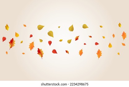 Autumnal Leaf Vector Transparent Background. Design Floral Card. Yellow Tree Plant Texture. Canadian Frame.