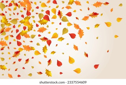 Autumnal Leaf Vector Transparent Background. Abstract Floral Frame. Yellow Paper Foliage Texture. Beautiful Design.
