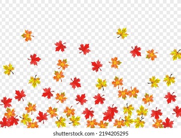 Vector transparente de fondo de hojas otoñales. Marco brillante de follaje. Floral marrón de octubre. Ilustración de planta baja.