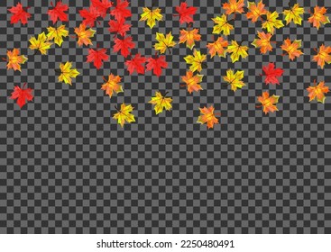 Autumnal Leaves Background Transparent Vector. Floral Forest Card. Ocher Ground Foliage. Canadian Leaf Texture.