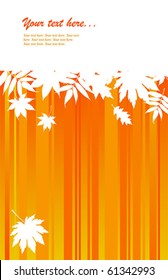 autumnal leaves on grange background