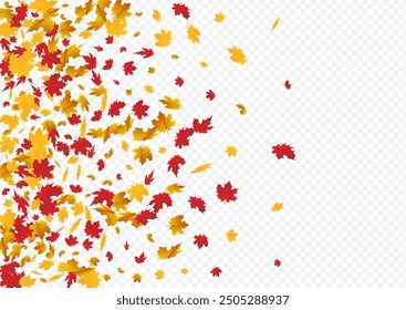 Autumnal Leaves Vector Transparent Background. Canadian Floral Design. Green Forest Foliage Template. Tree Illustration.