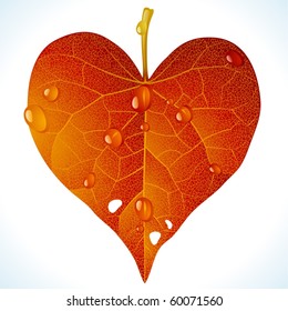 Autumnal love. Vector fallen red leaf in the shape of heart