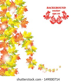 autumnal orange leaf of maple, isolated on white background vector