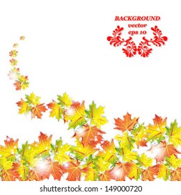 autumnal orange leaf of maple, isolated on white background vector
