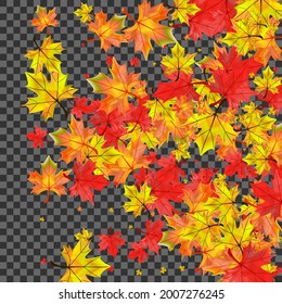 Autumnal Plant Background Transparent Vector. Leaf Paper Texture. Brown Nature Floral. Down Foliage Frame.