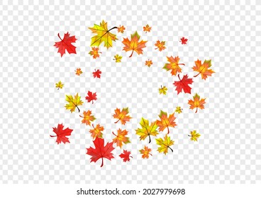 Autumnal Plant Background Transparent Vector. Leaves Flying Template. Golden Canadian Floral. Abstract Foliage Frame.