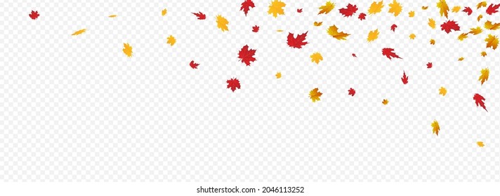 Autumnal Plant Vector Panoramic Transparent Background. Abstract Floral Frame. Colorful Decoration Foliage Illustration. Realistic Template.