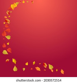 Fondo Rojo Vector De Planta Otoño. El Patrón Deja Ilustración. Marco De Foliage Volador Colorido. Tarjeta forestal.