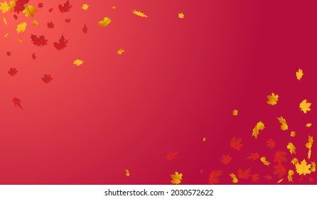 Autumnal Plant Vector Red Background. Realistic Leaf Texture. Colorful Bright Foliage Card. November Design.
