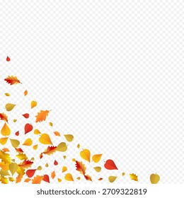 Fondo transparente del Vector de la planta otoñal. La decoración deja la tarjeta. Textura de follaje de plumón colorido. Diseño de Fondo de pantalla.