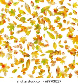 Autumnal seamless background. Fallen leaves. And also includes EPS 10 vector