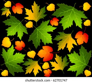 Autumnal seamless background with leaves. Vector.