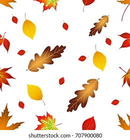 Autumnal seamless leaves pattern, on white background.Vector