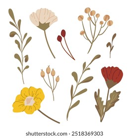 Autumnal set of various twigs with leaves and flowers. Set of vector decorative botanical elements in autumn colours. Botanical design for advertising, stickers, brochures, event design, greeting card