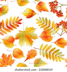 Autumnal swatch ready detailed seamless wet leaves background. EPS10