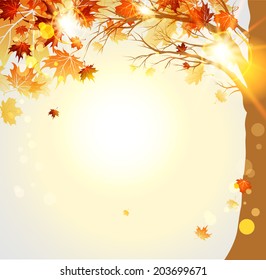 Autumnal trees with maple autumn leaves and sunlight. Place for text