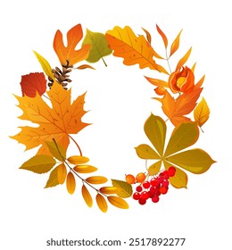 Autumnal wreath with fall leaves, branches, pine cones, berries isolated on white background.