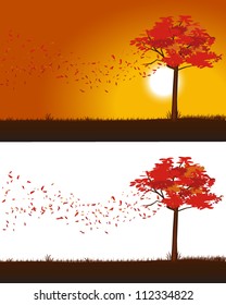 Autumn/Fall leaves being blown from a tree on both a sunrise/sunset background as well as a transparent background.