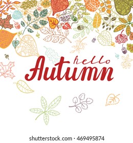 Autumn,full leaves poster with Lettering.Vector autumnal leaves compositions. Background,hand drawn titles.Fall design elements. Template,illustration for web and print